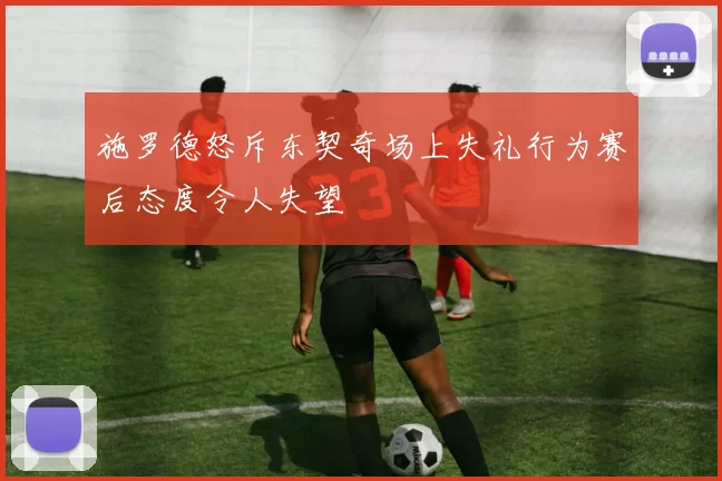 施罗德怒斥东契奇场上失礼行为赛后态度令人失望