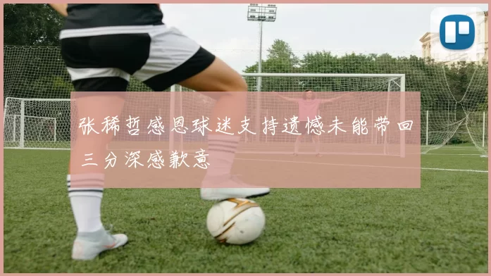 张稀哲感恩球迷支持遗憾未能带回三分深感歉意