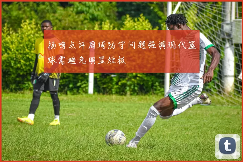 杨鸣点评周琦防守问题强调现代篮球需避免明显短板